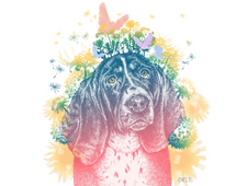 挿絵イラスト+デザイン