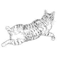 茶トラ猫フリー イラスト