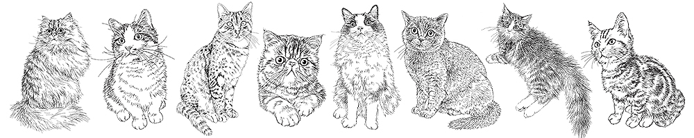 猫全身イラストフリー